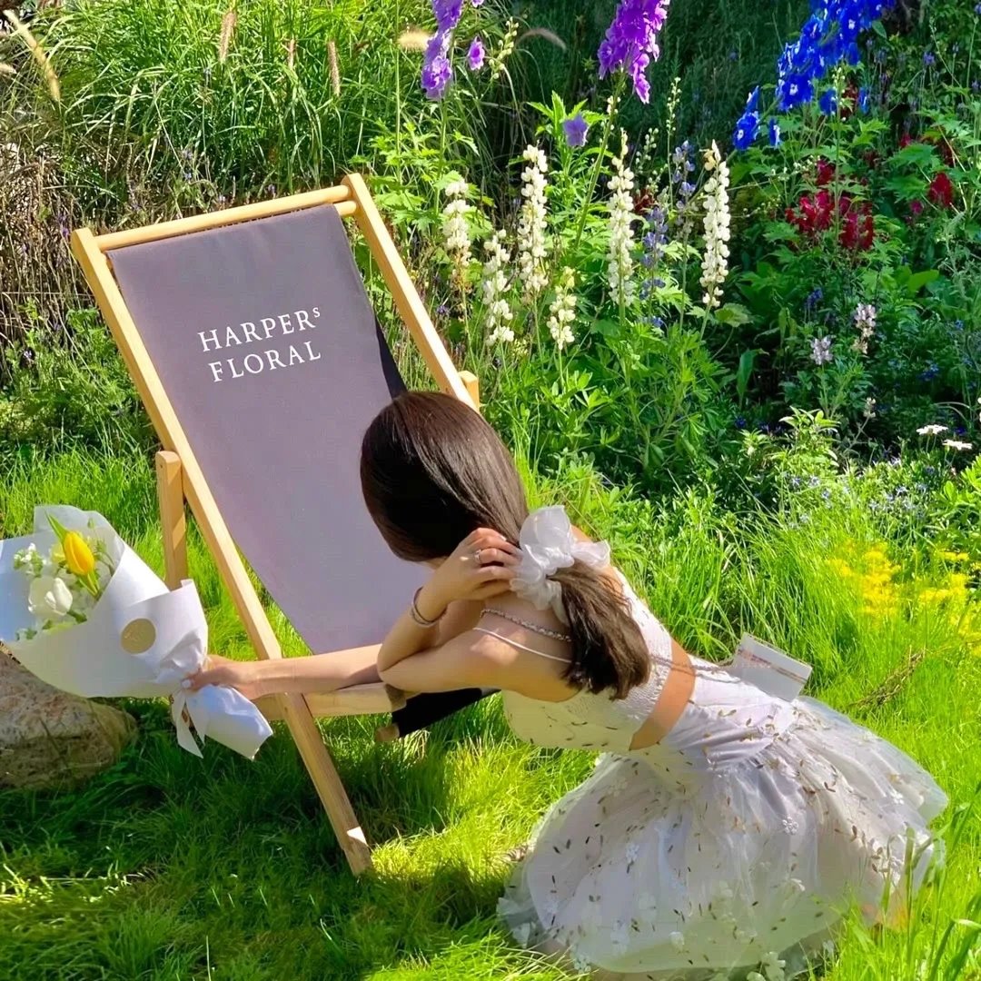 我甜蜜的胡椒地